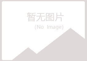 昌邑夏岚会计有限公司